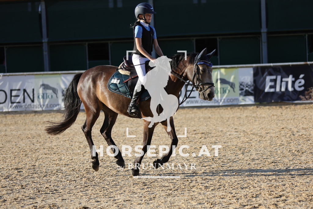 0P6A6579 | Willkommen bei Brunnmayr - Design & Fotografie – Ihrem Spezialisten für Reitturniere und Pferdeveranstaltungen in Oberösterreich, Salzburg und Bayern! Seit über 17 Jahren sind wir leidenschaftlich dabei.