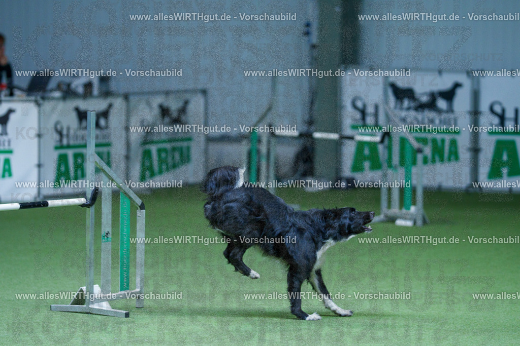 @allesWIRTHgut_Tierfotografie - www.allesWIRTHgut.de - 2604251210-7R500977 | Professionelle Tierfotografie in Mönchengladbach von Daniel Wirth (allesWIRTHgut). Liebevolle & natürliche Bilder von Hunden & Katzen für unvergessliche Erinnerungen.