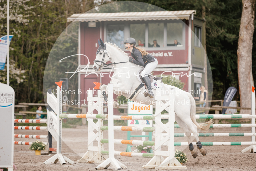 3I6A4392 | Stimmungsvolle Portraits und Reitsportfotografie im Ruhrgebiet und im Münsterland.

Pferdefotografie, Hundefotografie, Tierfotografie, Reportagen, Portraits von Tier und Mensch, Turnierfotografie in Bochum, Recklinghausen, Marl, Haltern am See, Dülmen.. - Realisiert mit Pictrs.com