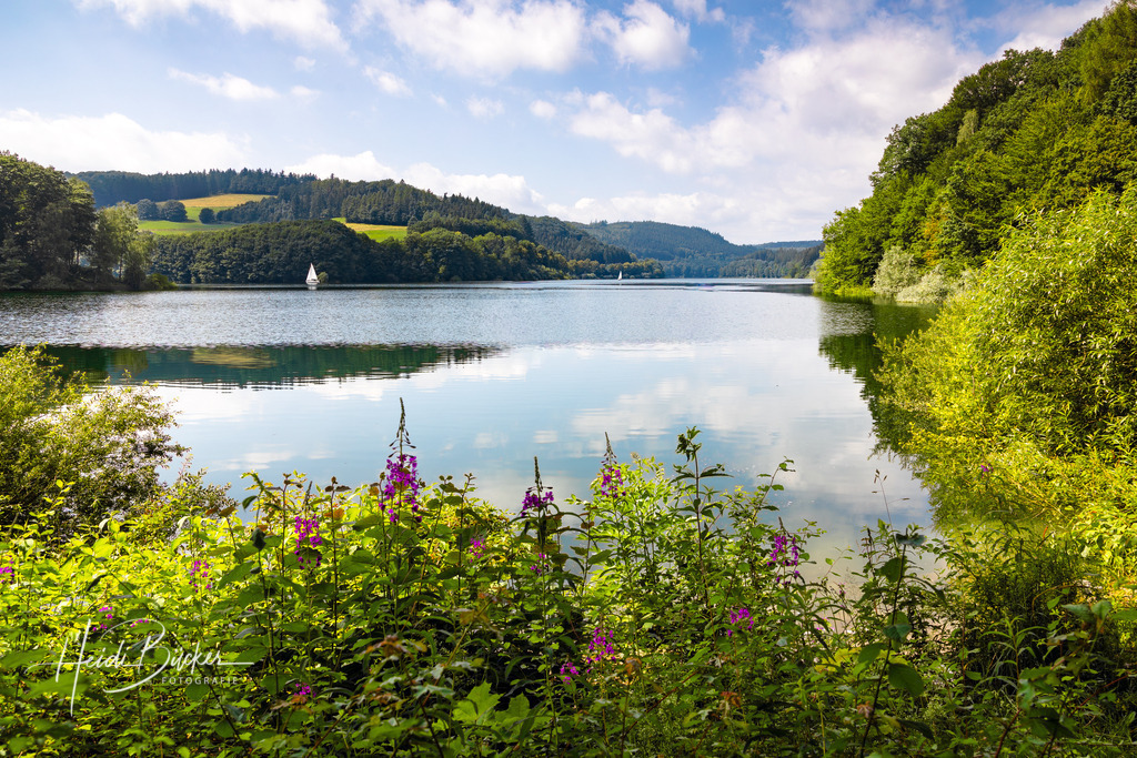 Hennesee im Sommer | Hennesee bei Meschede im Sommer - Realisiert mit Pictrs.com