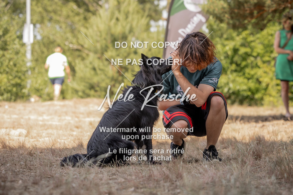 nelerasche_soDD2_322 | nelerasche