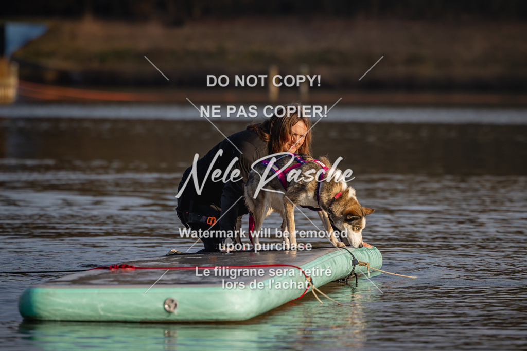 nelerasche_Hulsbeek_Sa1700-1730_106 | nelerasche