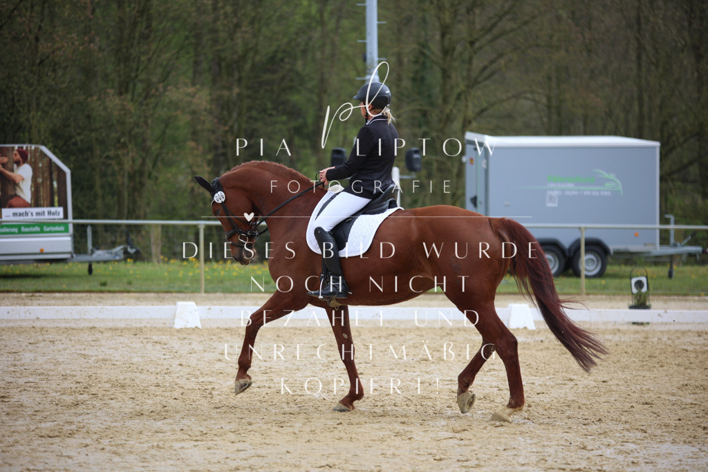 IMGT5172 | pl-fotografie