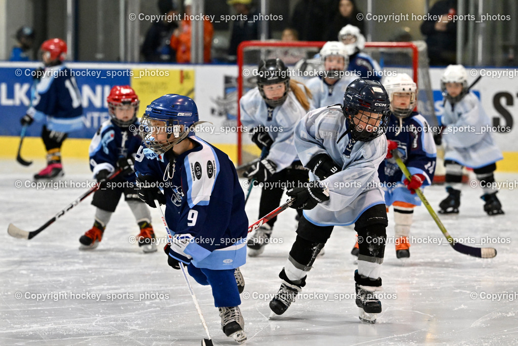 ESC SPARKASSE STEINDORF vs. EHC Althofen | Nachwuchs ESC Steindorf, ESC SPARKASSE STEINDORF vs. EHC Althofen, ESC SPARKASSE STEINDORF vs. EHC Althofen am 06.03.2026 in Steindorf (Ossiachersee Halle), Austria, (Photo by Bernd Stefan)