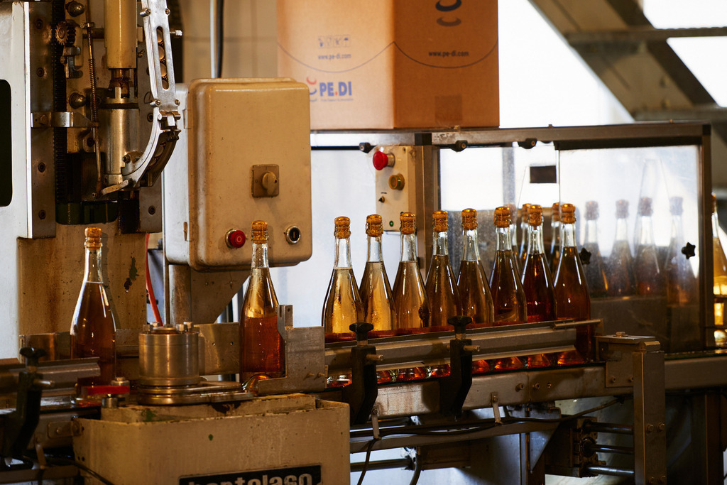 Sektkellerei Szigeti | Gols, Austria - February 19, 2018: Sektkellerei Szigeti, verkorkte und mit einer Agraffe versehene Sektflaschen auf dem Förderband. - Realisiert mit Pictrs.com