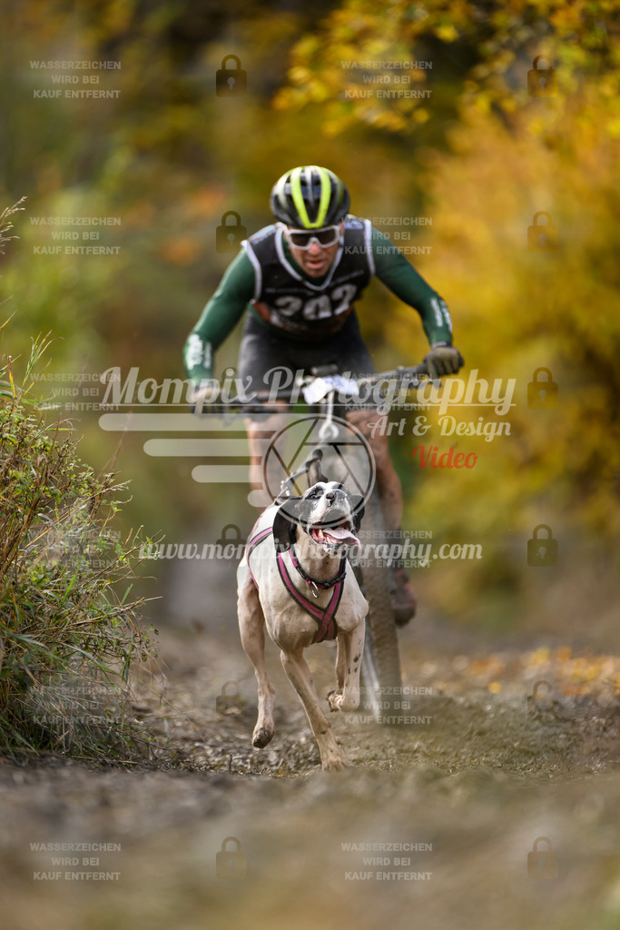 MompixPhotography_ICF_WC_2024_SA_Bike_-309 | PayLife