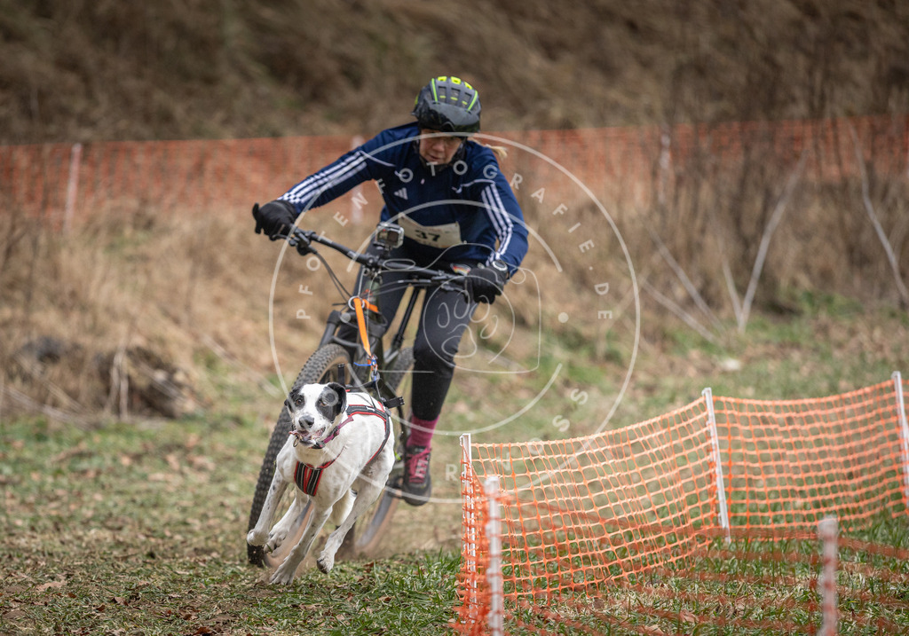 Pfotenfotografie_DV3A5145 | Hundefotografie, Tierfotograf, Pfotenfotografie, Fotoshooting Hund, Hunde Portrait, Hundesport, Hundeportraits, Heideshooting, Hunde, Sportfotograf, Hundefotograf, Turnierhundsport, THS,  - Realisiert mit Pictrs.com