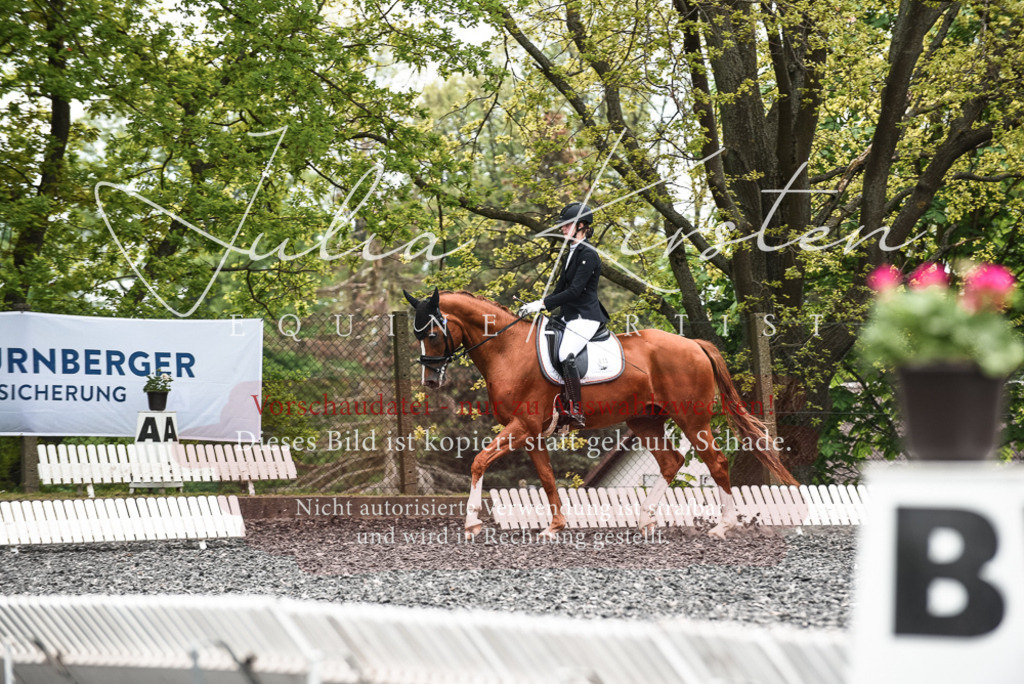 20230514_JK-Röhrsdorf-24-096 | Pferde- und Turnierfotografie in Westsachsen. Pferdeportraits, Auftragszeichnungen und intuitive Kunst.