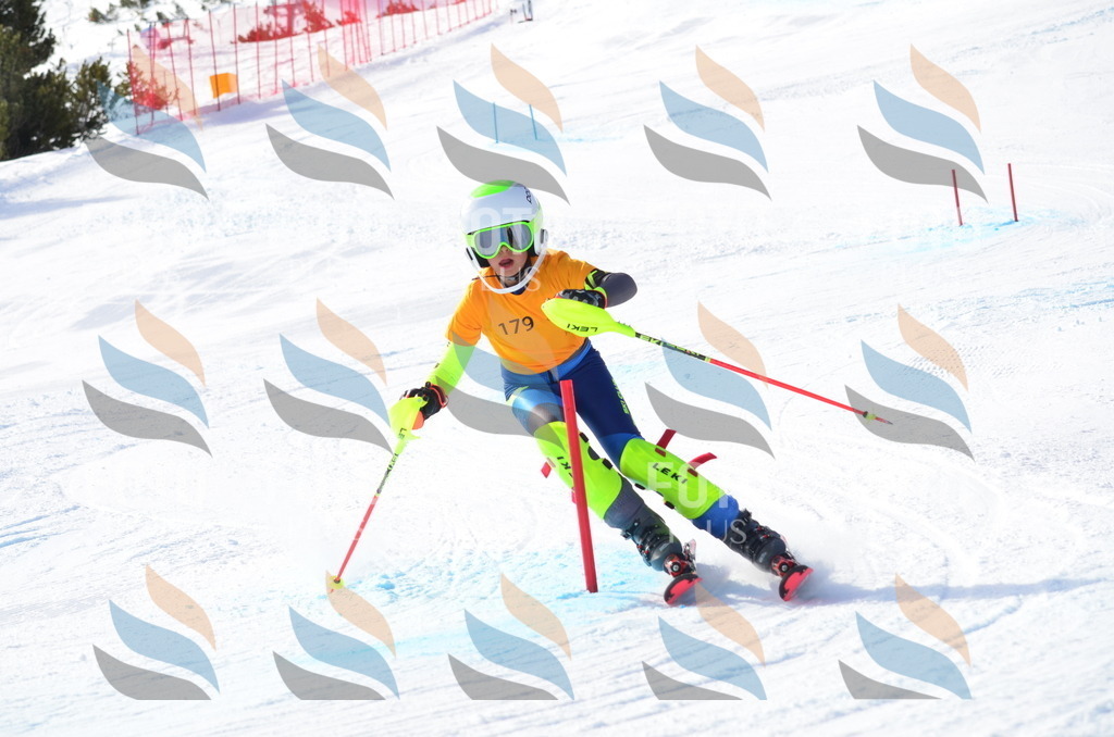 C7984 | holidayphoto