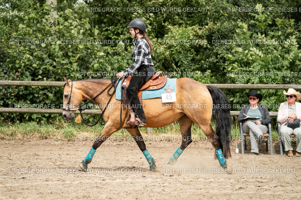 DSC01417 | Pferdegrafie