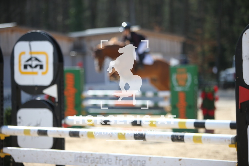 AS8V6000 | Willkommen bei Brunnmayr - Design & Fotografie – Ihrem Spezialisten für Reitturniere und Pferdeveranstaltungen in Oberösterreich, Salzburg und Bayern! Seit über 17 Jahren sind wir leidenschaftlich dabei.