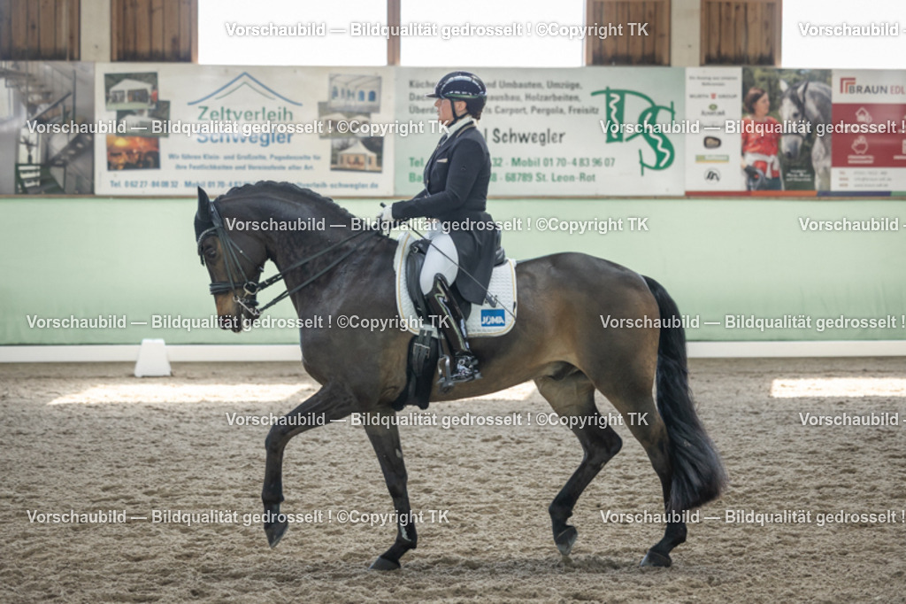 _D5A9512 | Emotionale Pferde- & People-Fotografie rund um Heidelberg, Leimen & Umgebung. Natürliche Fotos von Pferd, Mensch & Familie. Jetzt Termin sichern!