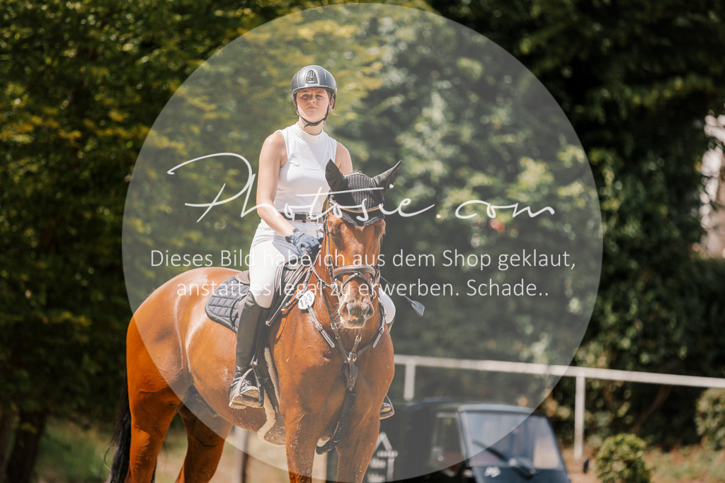 3I6A7807 | Stimmungsvolle Portraits und Reitsportfotografie im Ruhrgebiet und im Münsterland.

Pferdefotografie, Hundefotografie, Tierfotografie, Reportagen, Portraits von Tier und Mensch, Turnierfotografie in Bochum, Recklinghausen, Marl, Haltern am See, Dülmen.. - Realisiert mit Pictrs.com