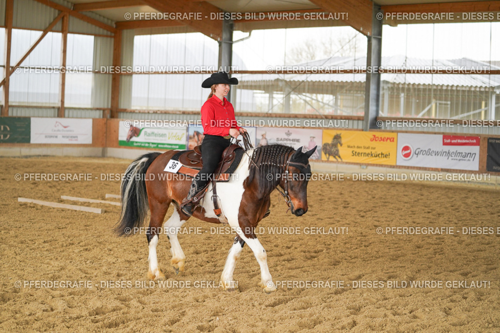 DSC04242 | Pferdegrafie