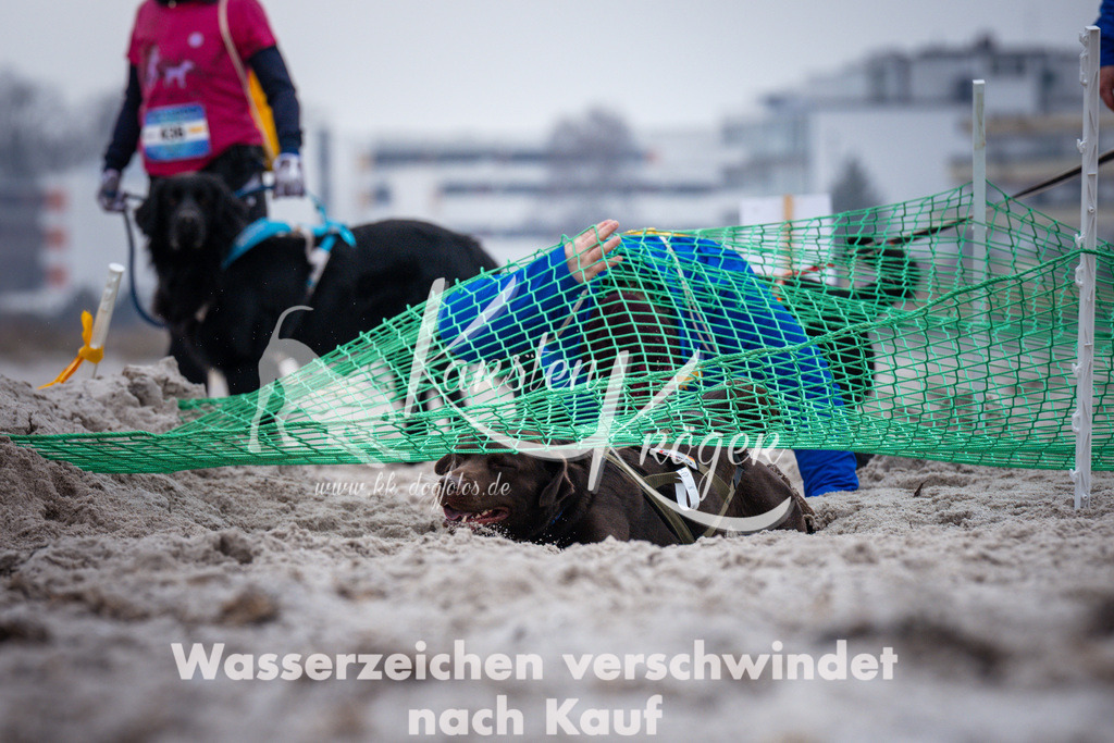1216_ZZ93076 | kk-dogfotos