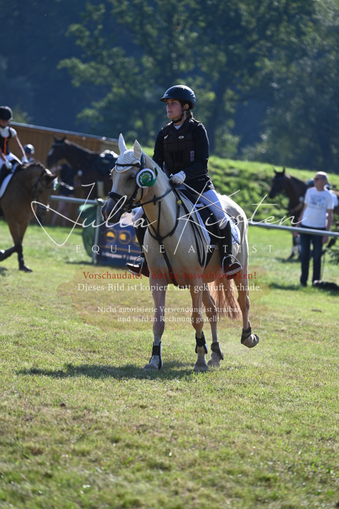 DSC_5390 | Pferde- und Turnierfotografie in Westsachsen. Pferdeportraits, Auftragszeichnungen und intuitive Kunst.