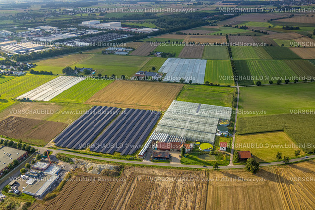 Werl230806468 | Luftbild, Tomaten Stemann Landwirtschaftsbetrieb, Werl, Werl-Unnaer Börde, Nordrhein-Westfalen, Deutschland