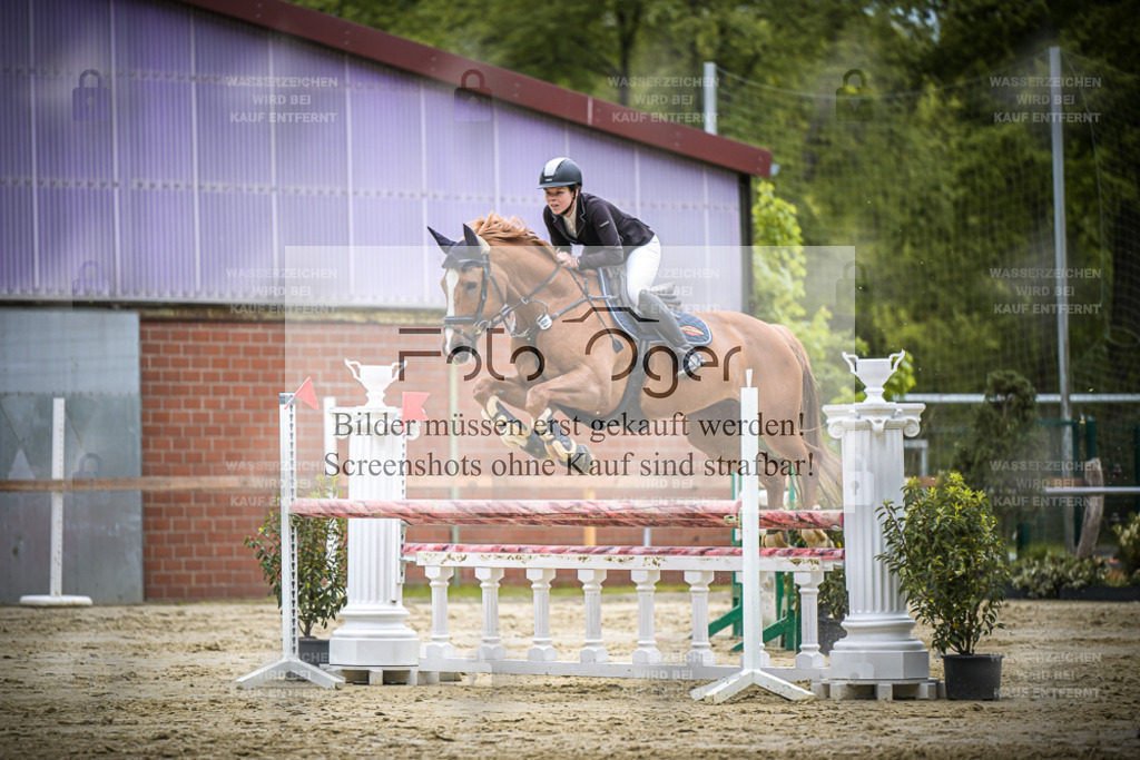 DOS_6277 | Entdecke hochwertige Reitturnierfotos von Foto Oger. Professionell, emotional und authentisch – jetzt Lieblingsmomente im Shop bestellen.Deutschlandweite Turnierfotografie. - Realisiert mit Pictrs.com