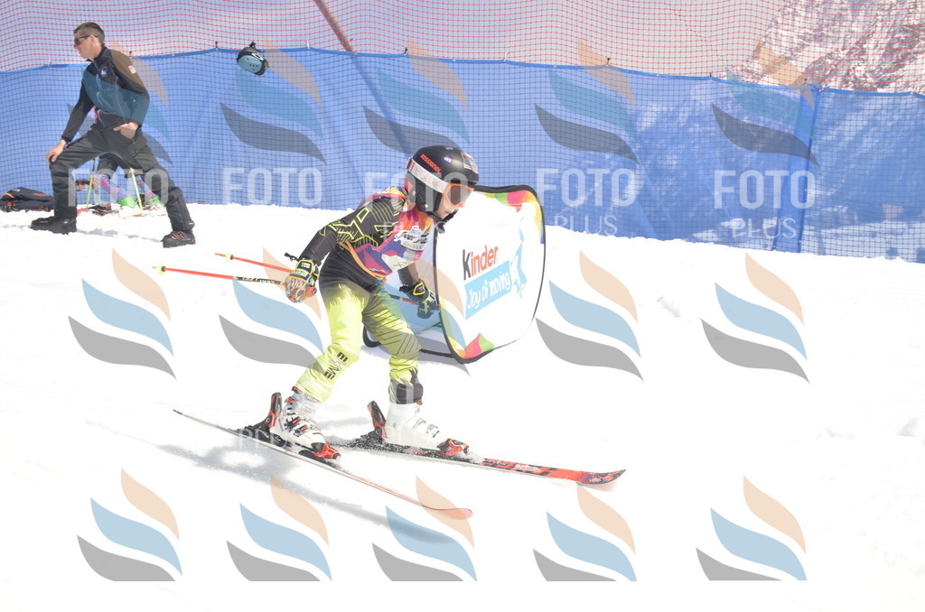 _ELE9180 | holidayphoto