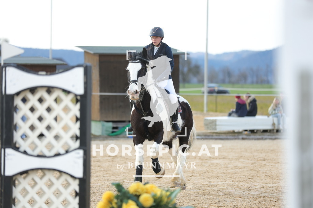 0P6A8920 | Willkommen bei Brunnmayr - Design & Fotografie – Ihrem Spezialisten für Reitturniere und Pferdeveranstaltungen in Oberösterreich, Salzburg und Bayern! Seit über 17 Jahren sind wir leidenschaftlich dabei.