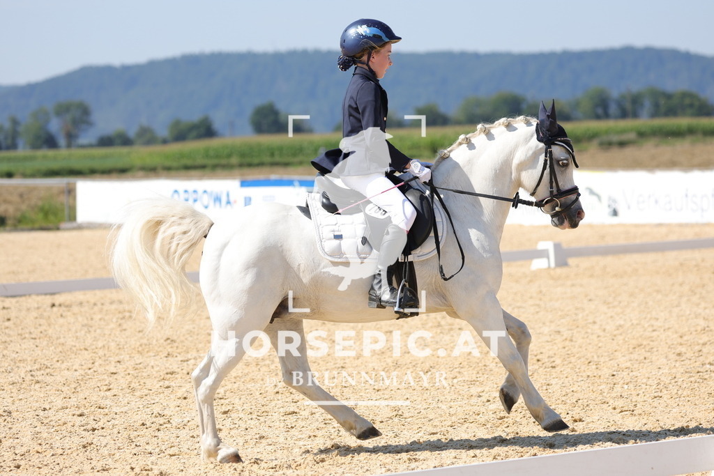 0P6A1478 | Willkommen bei Brunnmayr - Design & Fotografie – Ihrem Spezialisten für Reitturniere und Pferdeveranstaltungen in Oberösterreich, Salzburg und Bayern! Seit über 17 Jahren sind wir leidenschaftlich dabei.