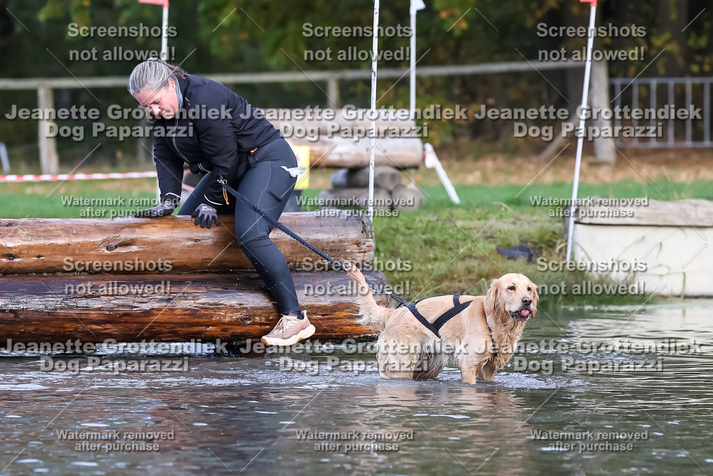 Dog Paparazzi - Strongdog 10-25-6956 | Dog Paparazzi Jeanette Grottendiek Fotografie & Videografie - Realisiert mit Pictrs.com