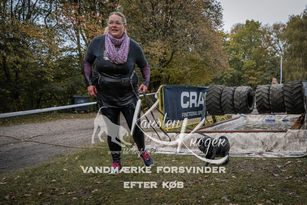 1705_ZZ94859 | kk-dogfotos