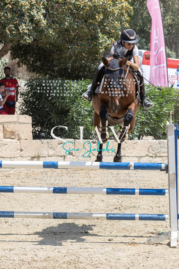 IMG_2535 | s-jay-photography - Realisiert mit Pictrs.com