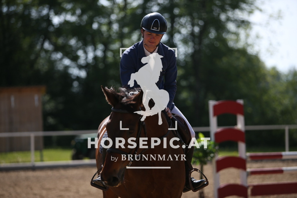 PP011228 | Willkommen bei Brunnmayr - Design & Fotografie – Ihrem Spezialisten für Reitturniere und Pferdeveranstaltungen in Oberösterreich, Salzburg und Bayern! Seit über 17 Jahren sind wir leidenschaftlich dabei.