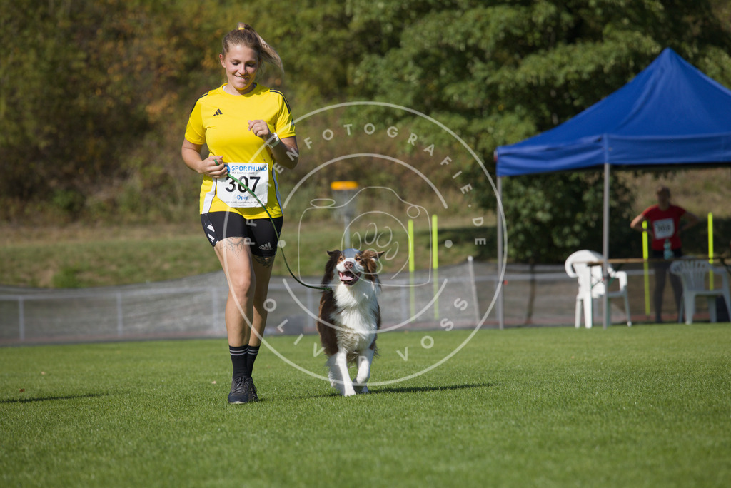 0L8A8199 | Hundefotografie, Tierfotograf, Pfotenfotografie, Fotoshooting Hund, Hunde Portrait, Hundesport, Hundeportraits, Heideshooting, Hunde, Sportfotograf, Hundefotograf, Turnierhundsport, THS,  - Realisiert mit Pictrs.com