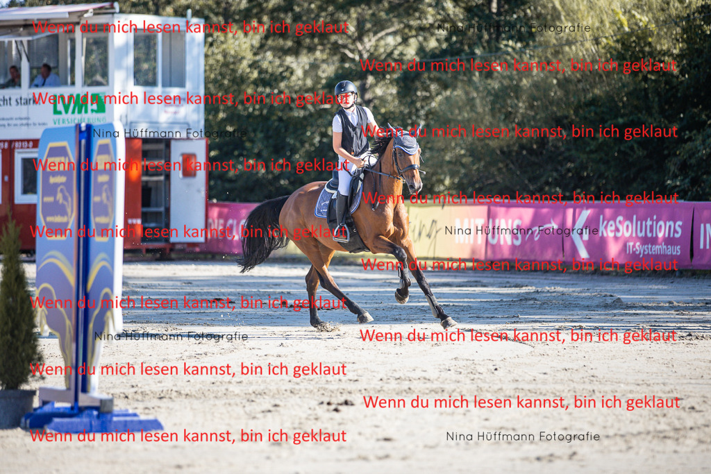 BK1A7395 | Turnierbilder Turnierfotos Nina Hüffmann Turnierfotografie Pferdefotografie Tierzeichnung Haustierzeichnung Pferdezeichnung Hundezeichnung Videograf  - Realisiert mit Pictrs.com