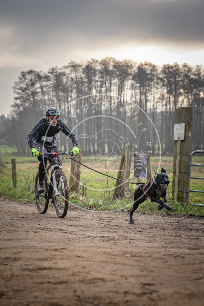 Pfotenfotografie_DV3A1518 | Hundefotografie, Tierfotograf, Pfotenfotografie, Fotoshooting Hund, Hunde Portrait, Hundesport, Hundeportraits, Heideshooting, Hunde, Sportfotograf, Hundefotograf, Turnierhundsport, THS,  - Realisiert mit Pictrs.com