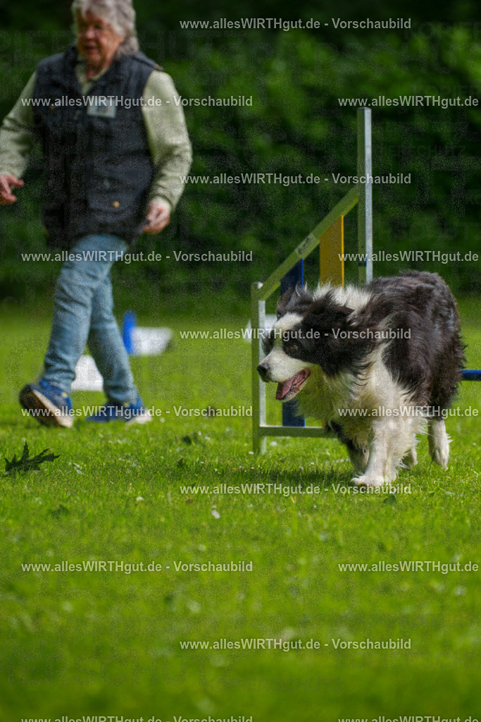 @allesWIRTHgut_Tierfotografie - www.allesWIRTHgut.de - 093644-7R507377 | Professionelle Tierfotografie in Mönchengladbach von Daniel Wirth (allesWIRTHgut). Liebevolle & natürliche Bilder von Hunden & Katzen für unvergessliche Erinnerungen.