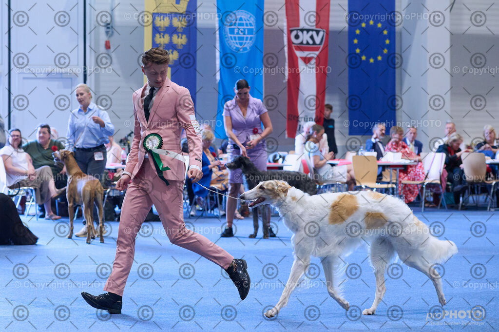 202406_ÖKV-IHA-Tulln24_DSC_4256 | proPHOTO - Realisiert mit Pictrs.com