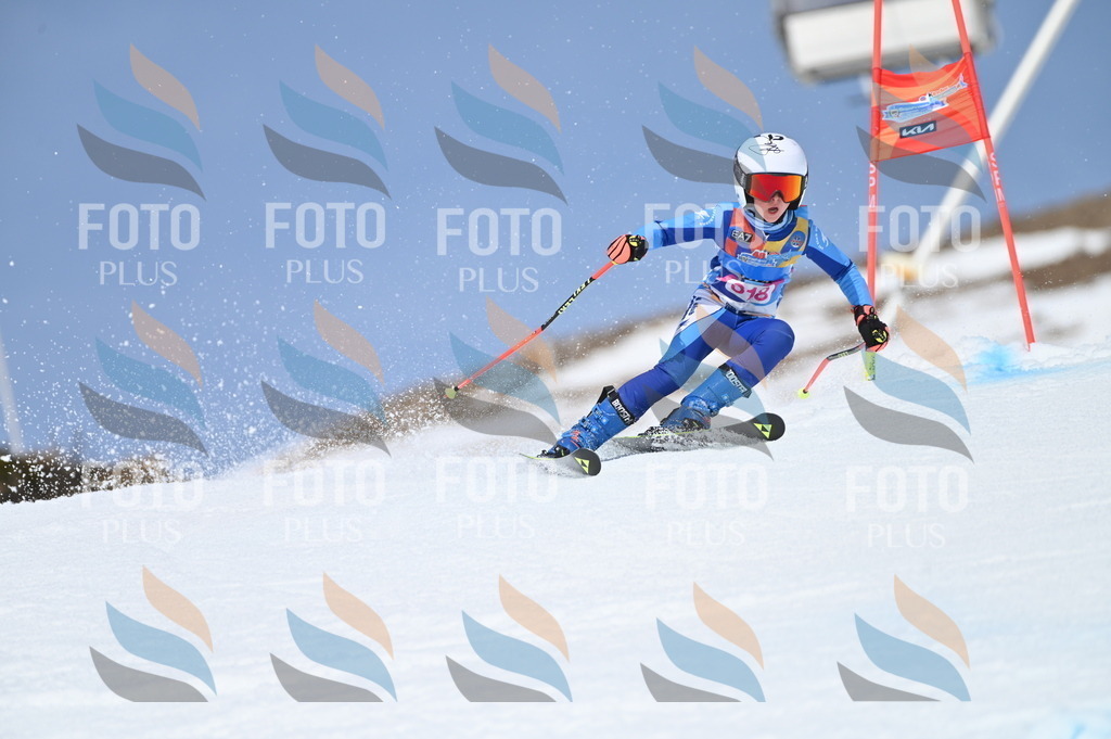 BGV_3072 | holidayphoto