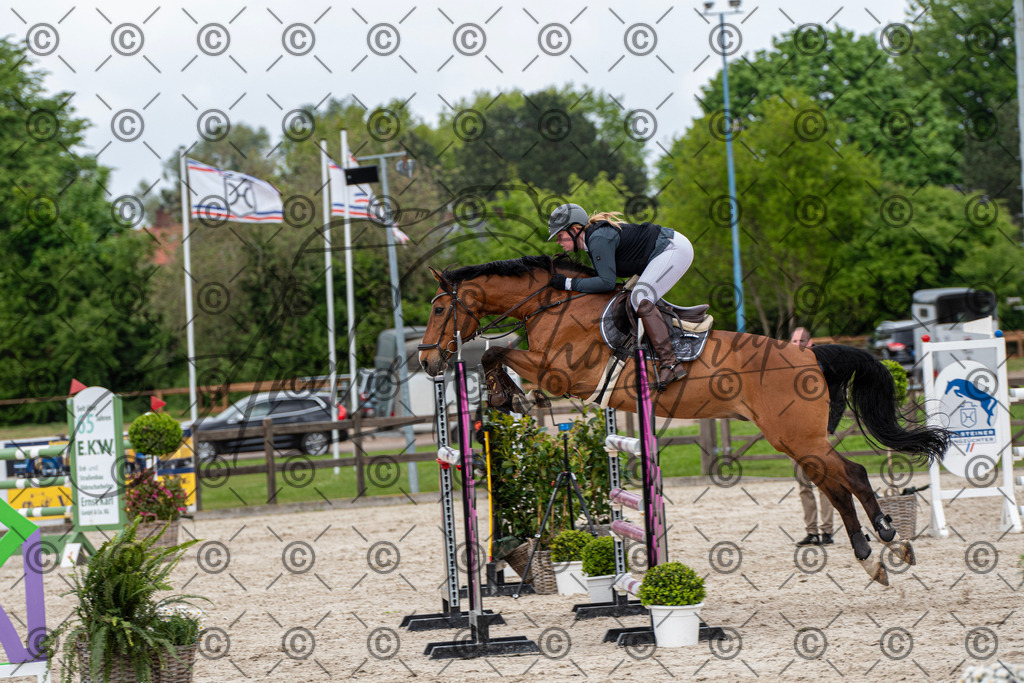 KPT_0028 | andre_photographic