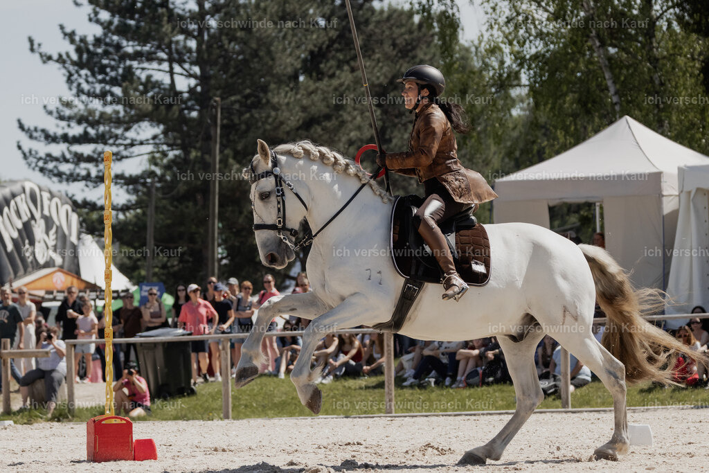 WE_SP_Stoib_347_PI2025_1542 | Pferd International München 2025