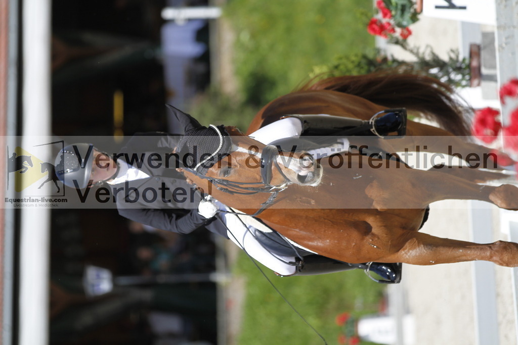 _MG_4633 | equestrian-live-com