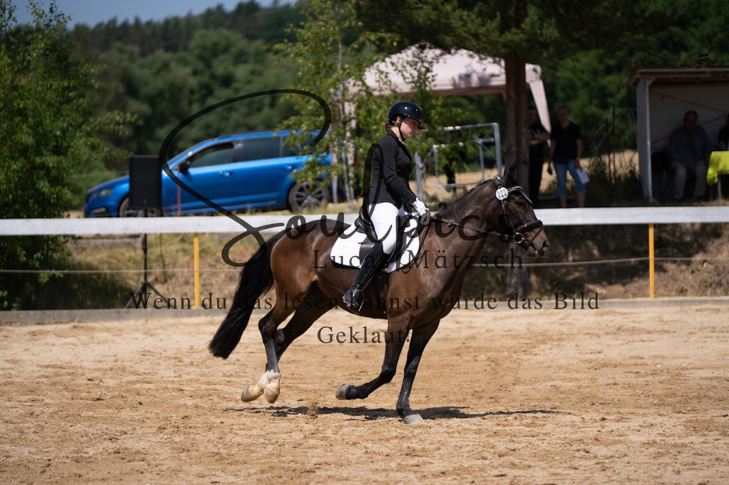 A7V08159 | Pferdefotograf