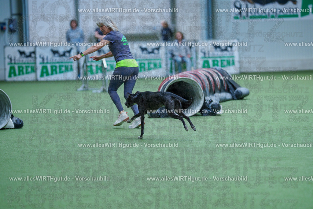 @allesWIRTHgut_Tierfotografie - www.allesWIRTHgut.de - 2604251434-7R504992 | Professionelle Tierfotografie in Mönchengladbach von Daniel Wirth (allesWIRTHgut). Liebevolle & natürliche Bilder von Hunden & Katzen für unvergessliche Erinnerungen.