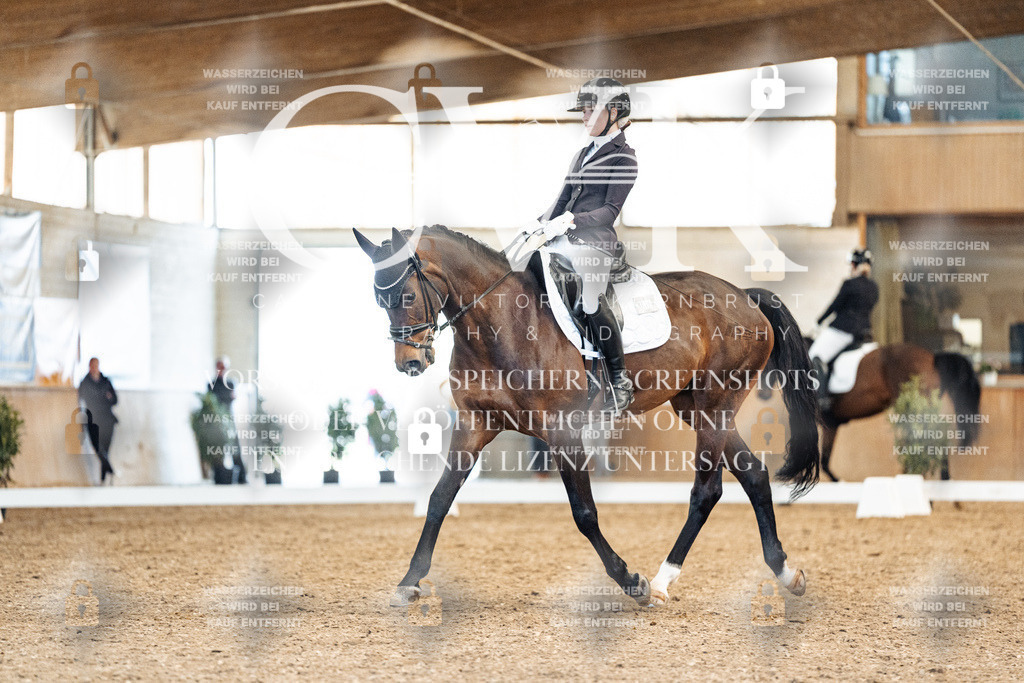 CK909301 | Turnierfotografie Pferdefotografie Trier Rheinland-Pfalz Pferdesport Reitsport Tierfotografie Sportfotografie Pferdevideo Pferdevideografie Equestrianvideography equestrianphotography  - Realisiert mit Pictrs.com