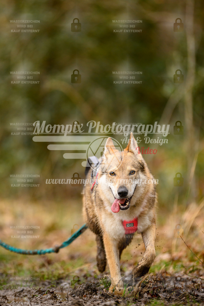 MompixPhotography_CDSM24_SA_CCS-136 | PayLife