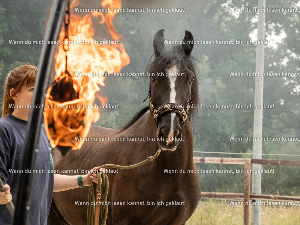 598A8007 | photographylinaismer - Realisiert mit Pictrs.com