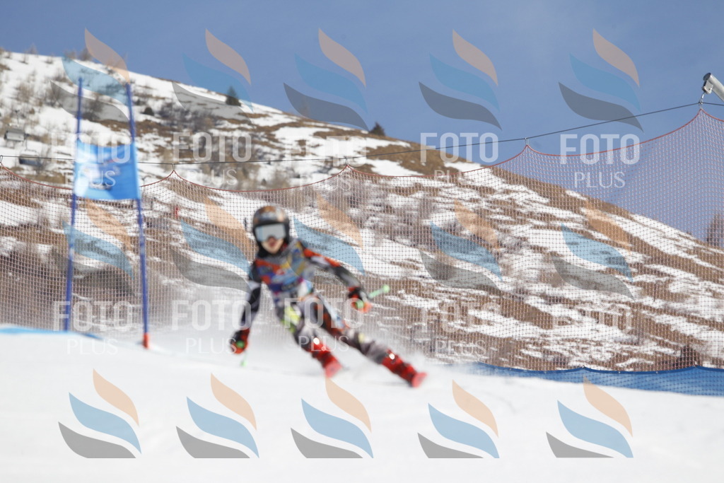 _U3G8471 | holidayphoto