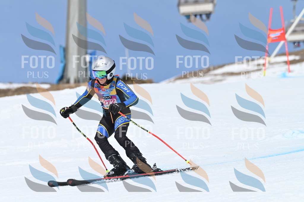 BGV_2298 | holidayphoto