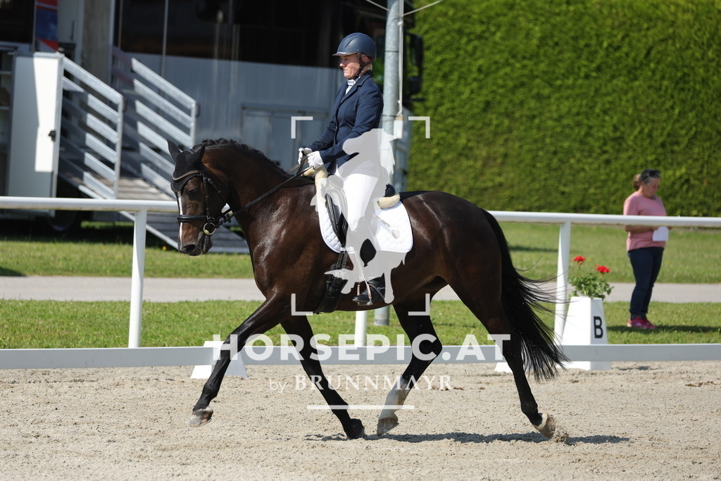 0P6A0416 | Willkommen bei Brunnmayr - Design & Fotografie – Ihrem Spezialisten für Reitturniere und Pferdeveranstaltungen in Oberösterreich, Salzburg und Bayern! Seit über 17 Jahren sind wir leidenschaftlich dabei.