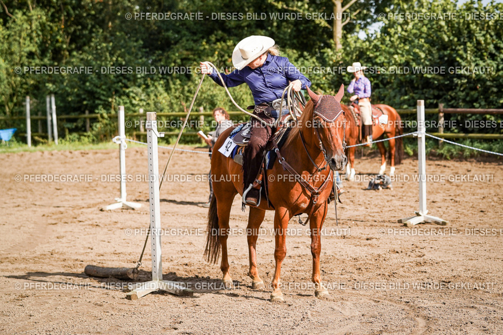 DSC00347 | Pferdegrafie