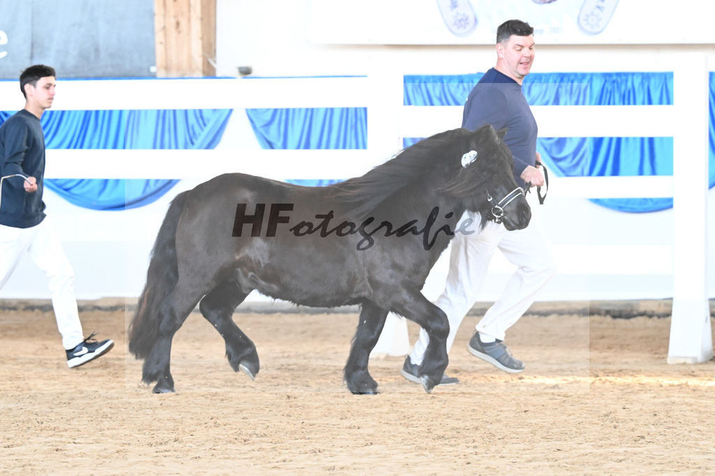 Kat-Nr. 25 Watson von Neuhaeusler v. Wolfgang v d Roemer_Baumann_9260635 | hf-fotografie - Realisiert mit Pictrs.com