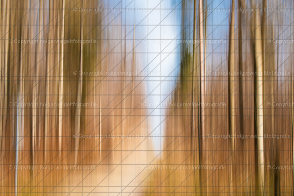 Der Weg | Kaufen sie online außergewöhnliche Fotografien auf Leinwand Acrylglas Fotoprint Aludibond von holgerweigeltfotografie - Realisiert mit Pictrs.com