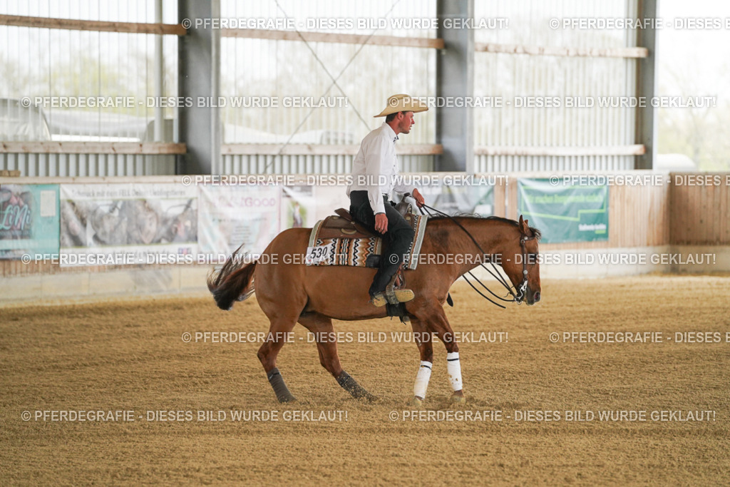 DSC06798 | Pferdegrafie